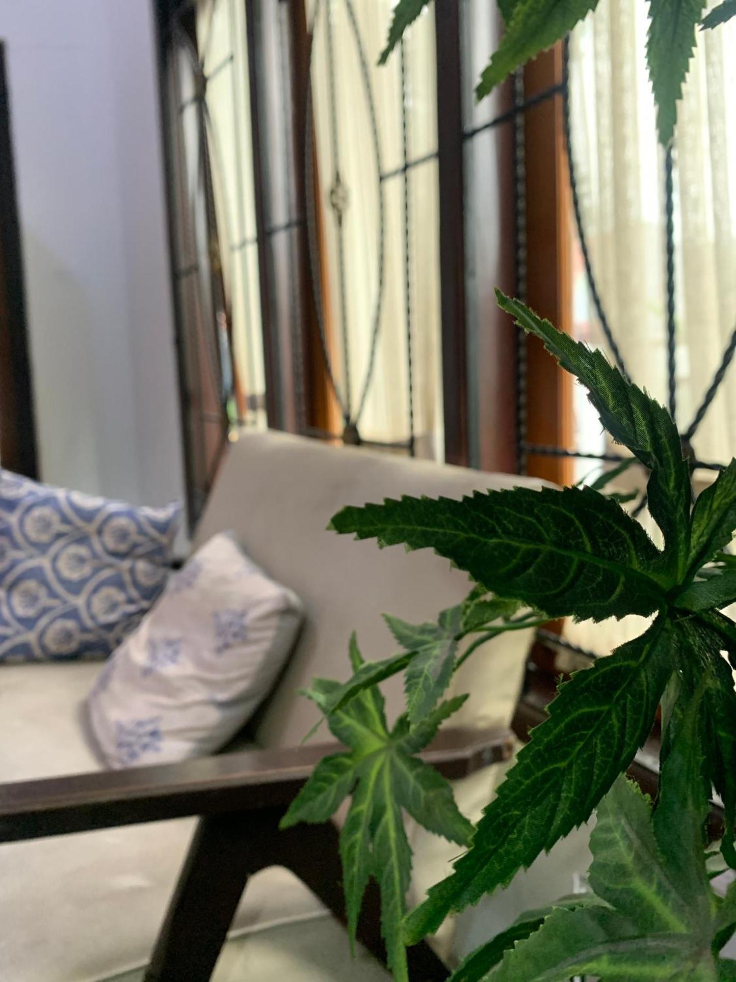 Zzz Hostel Ijen بانيووانجى المظهر الخارجي الصورة