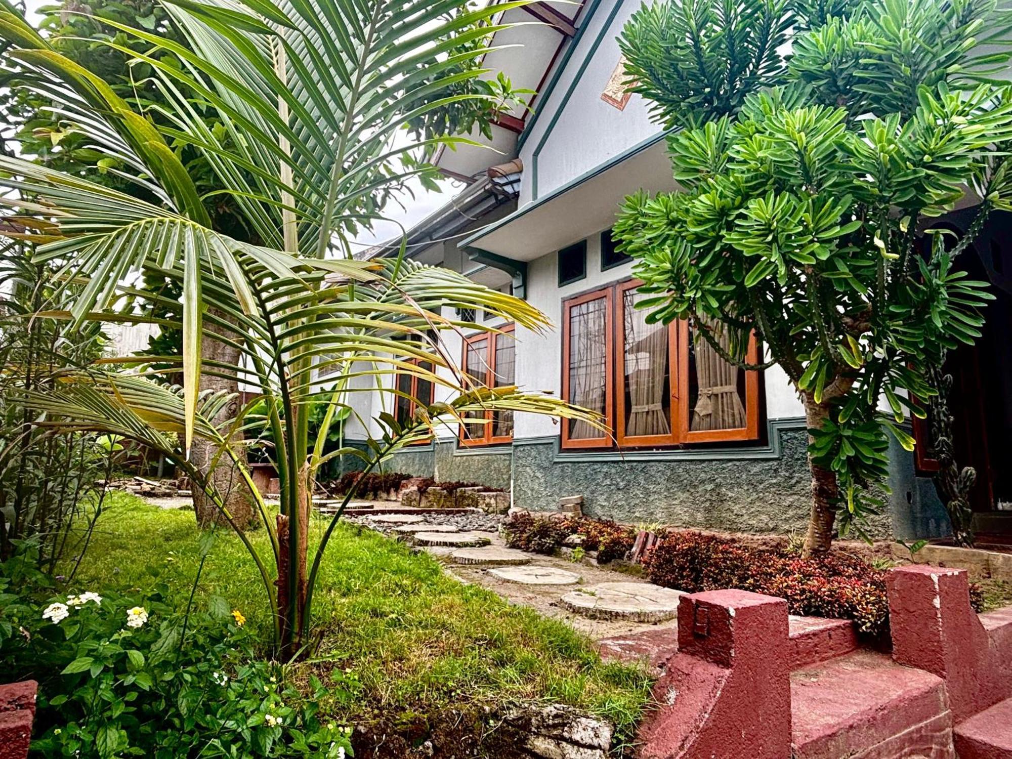 Zzz Hostel Ijen بانيووانجى المظهر الخارجي الصورة